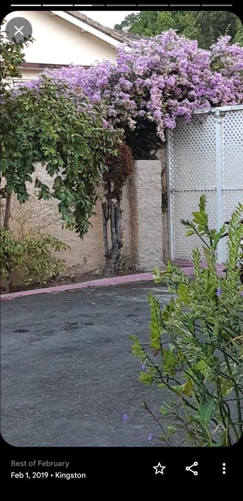 The Cliff Apartments photo 4