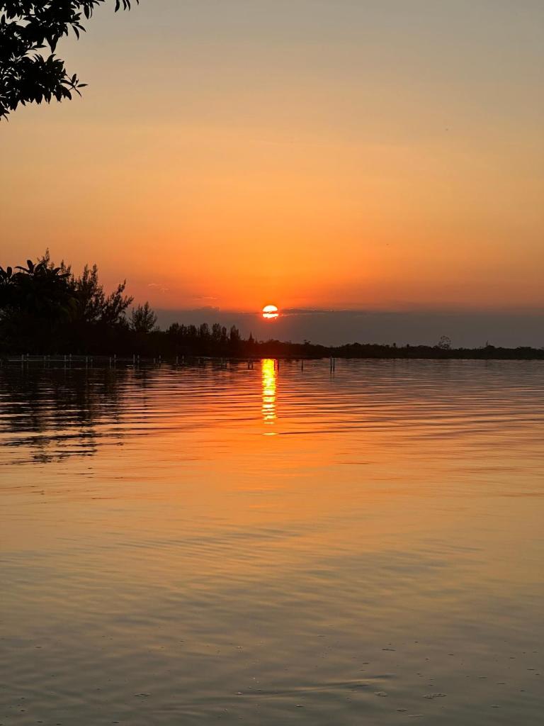 Belizima Eco Resort photo 4