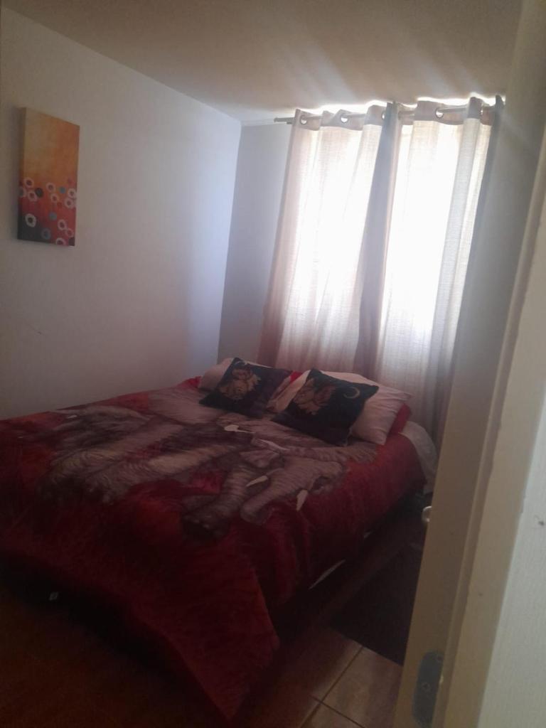 Departamento Retamilla, Huasco photo 2