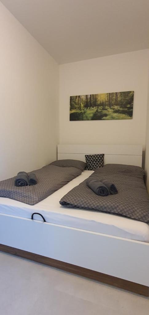 Apartmán Achát v Jizerkách photo 4
