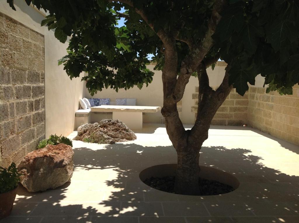 Dimora Cavalieri charming house salento puglia photo 4