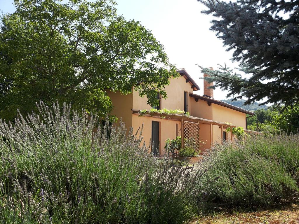 B&B Antegiano photo 3