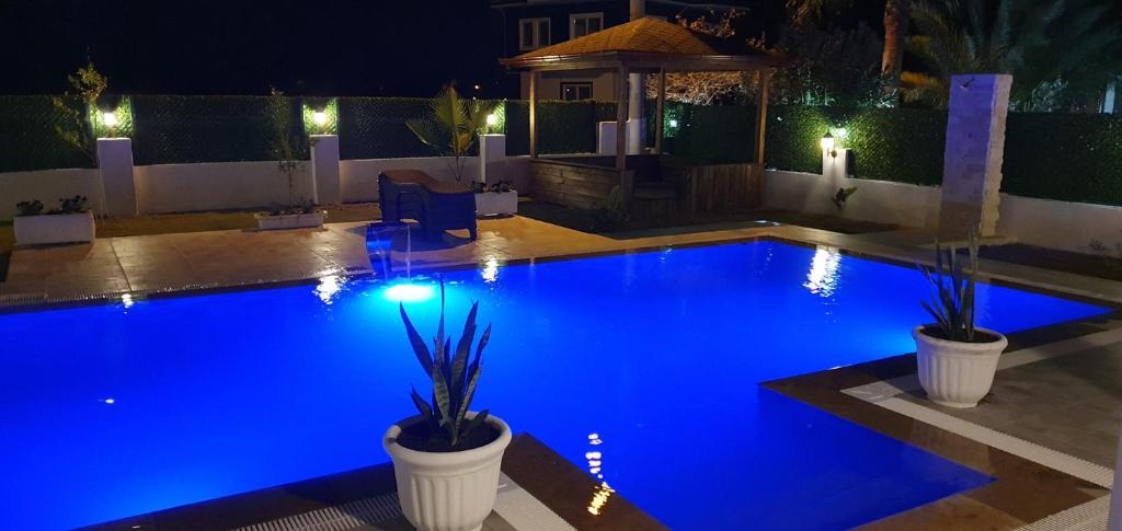 Villa Vanilya photo 1