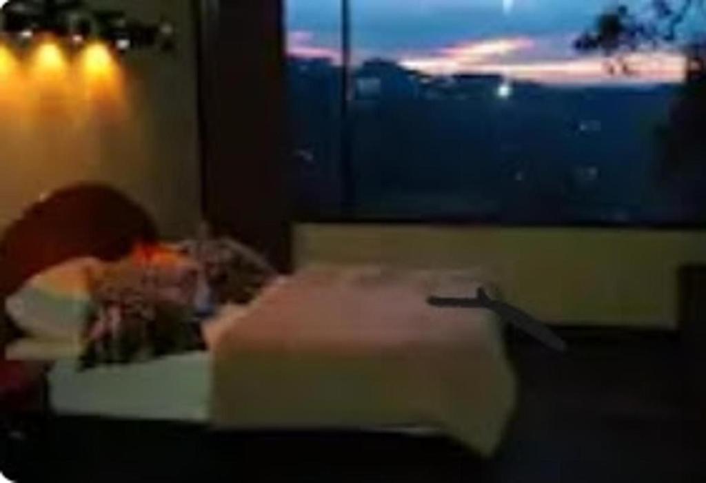 Inviting Mountain Chalet in San Francisco photo 3