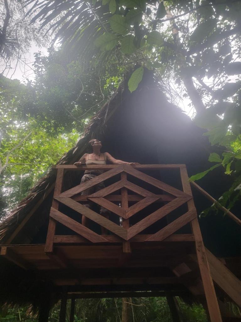 Madre Selva photo 2