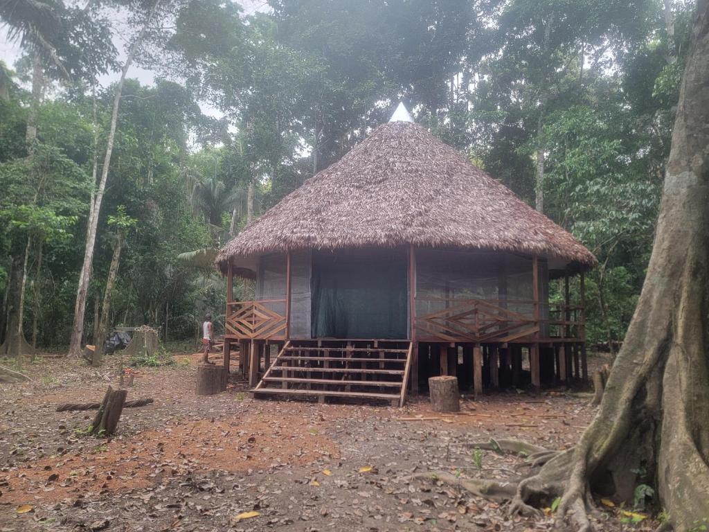 Madre Selva
