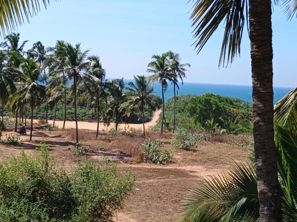 FLOBESTIAN BEACH VILLA CANDOLIM BEACH photo 3
