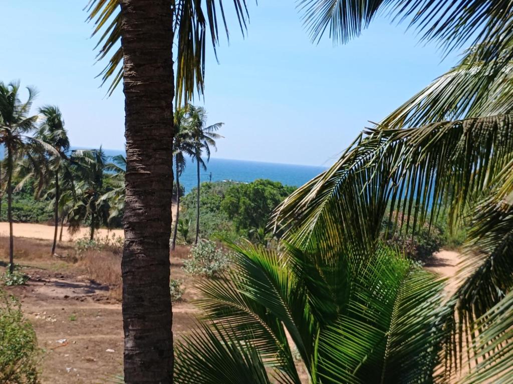 FLOBESTIAN BEACH VILLA CANDOLIM BEACH photo 2