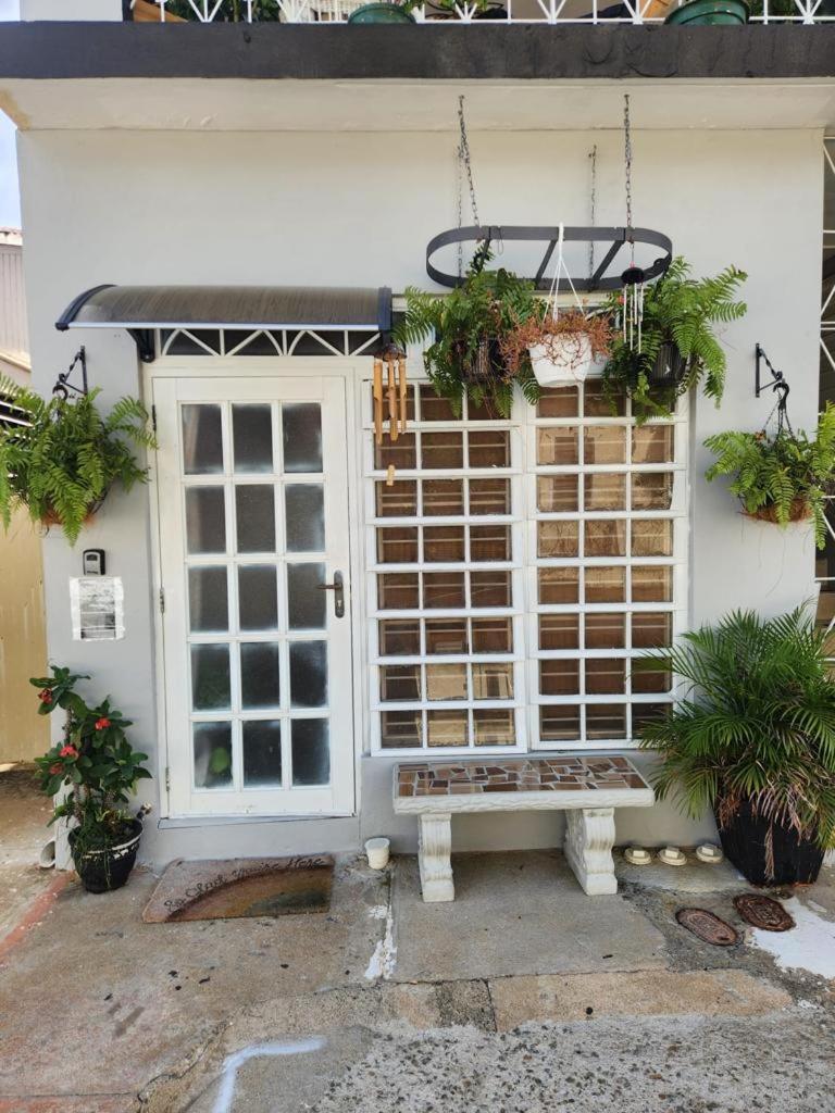 MI CASITA BOHO GREEN