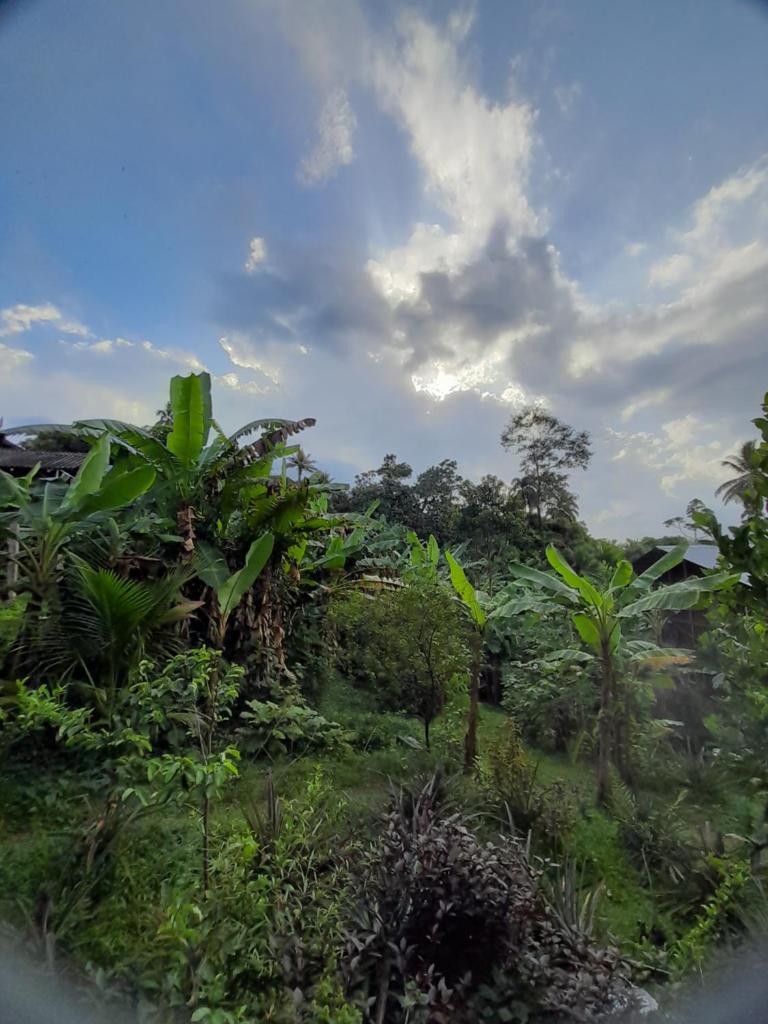 Old Bank Tea Garden