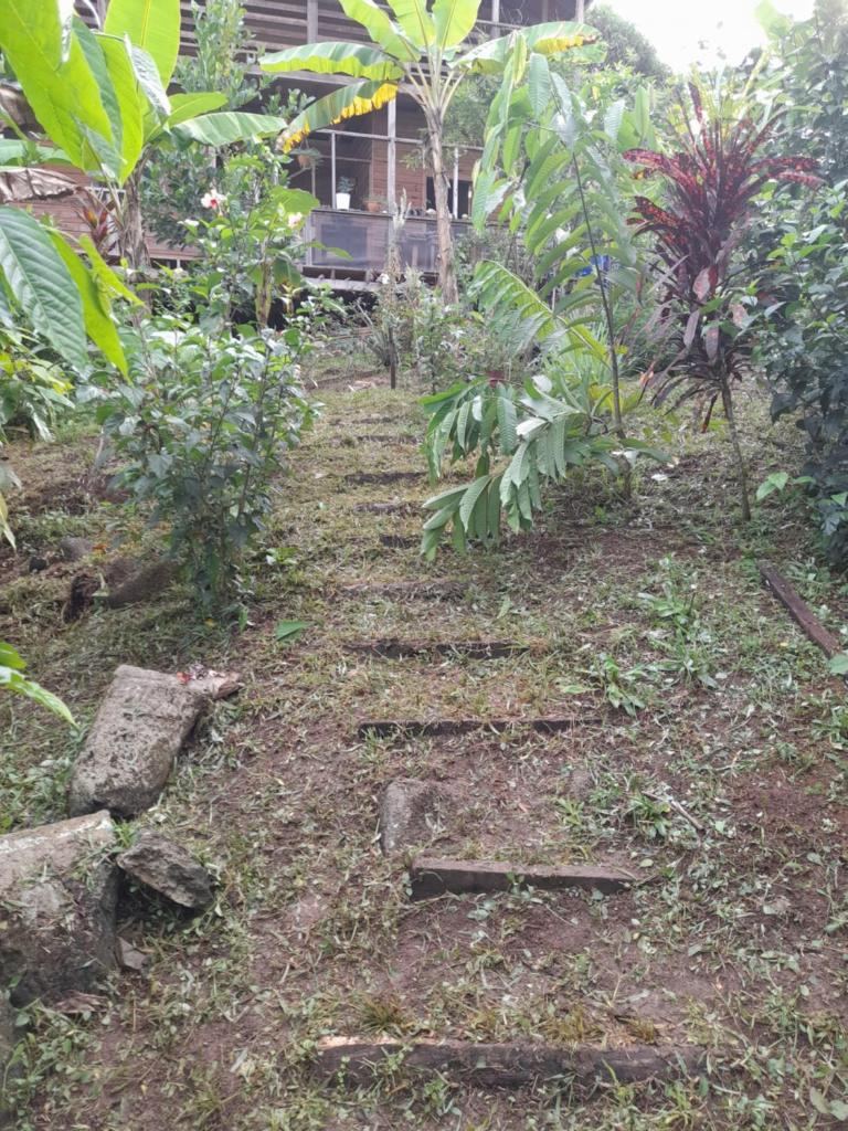 Old Bank Tea Garden photo 1