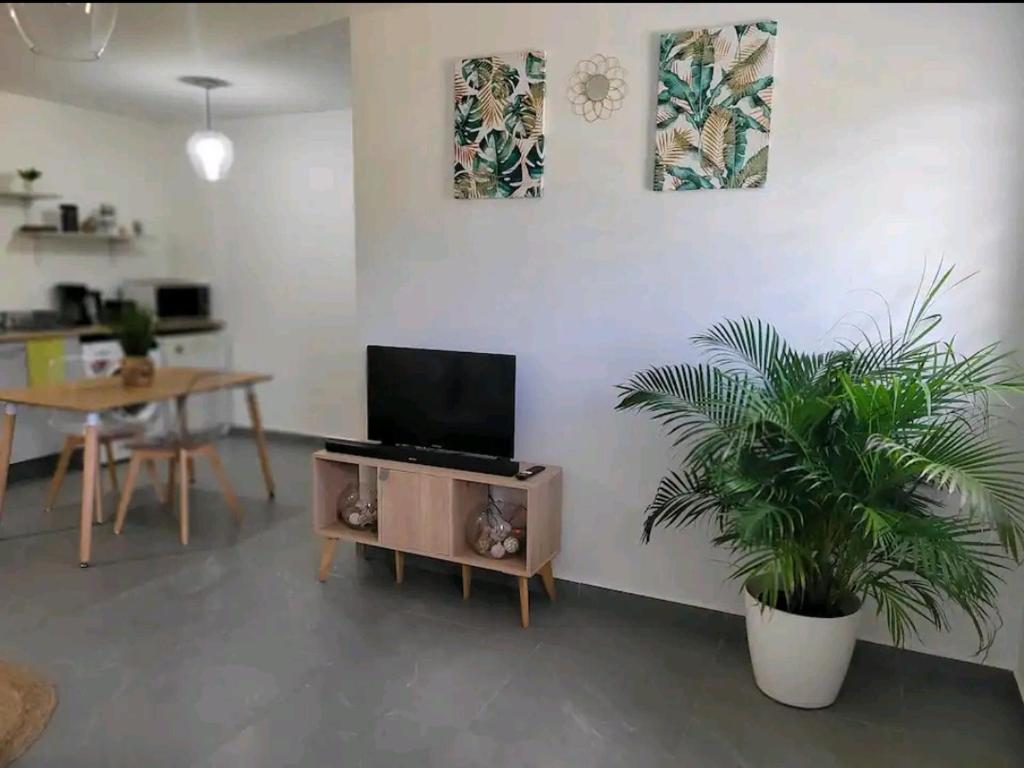 Superbe appartement cosy neuf photo 4