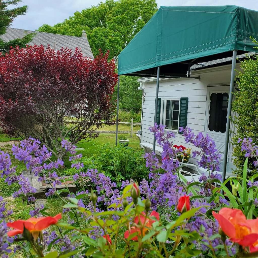 The Harbourview Guest House & Cottages photo 2