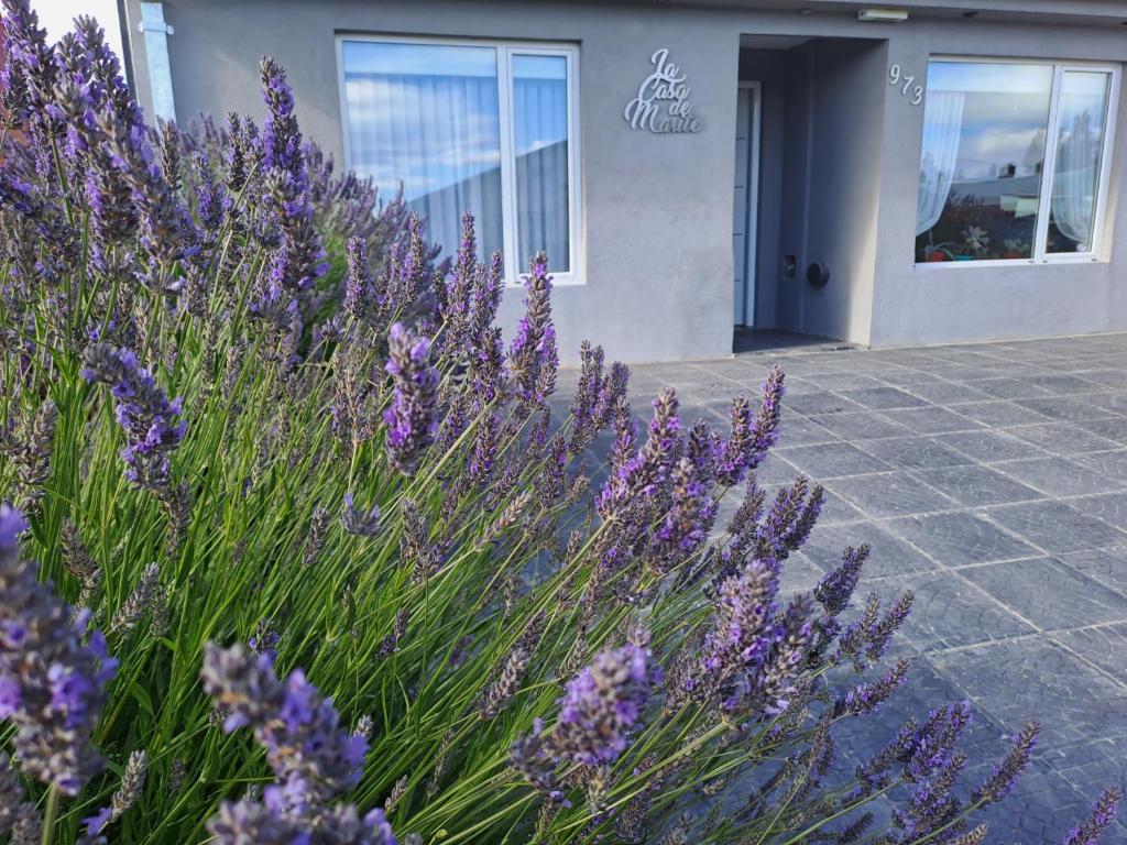 La Casa de Marite Apart, un lugar para disfrutar photo 2