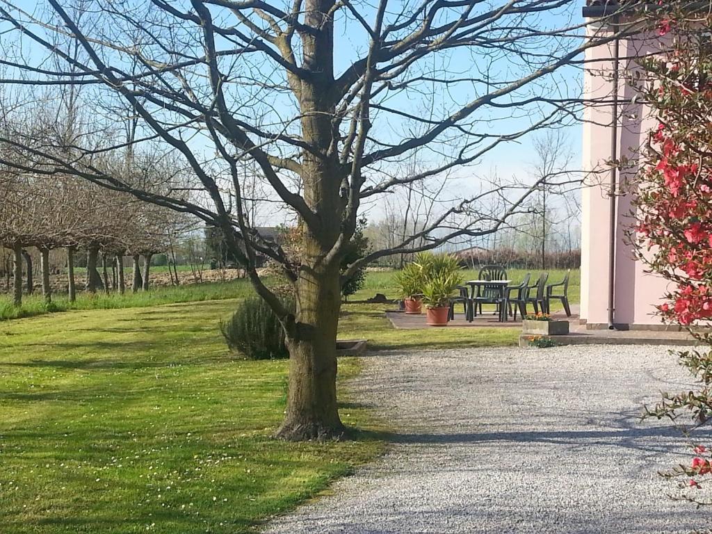 Casarosa B&B photo 4