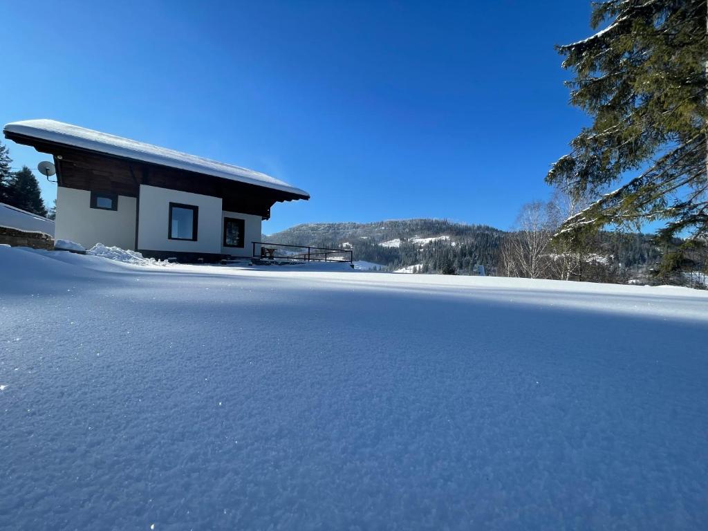 Panorama photo 4