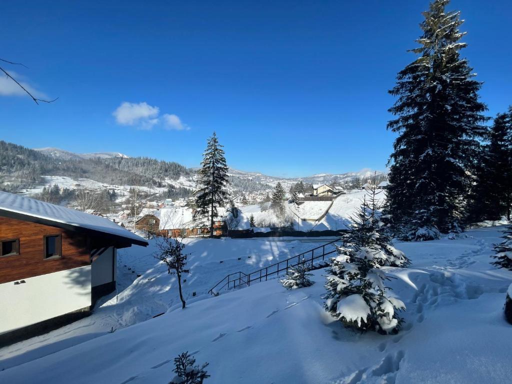 Panorama photo 3