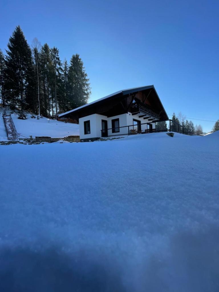 Panorama photo 2