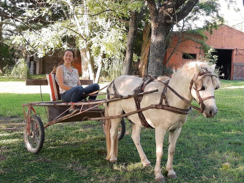 Chacra Casa Quinta Carmen de Areco - La Alpargata photo 4