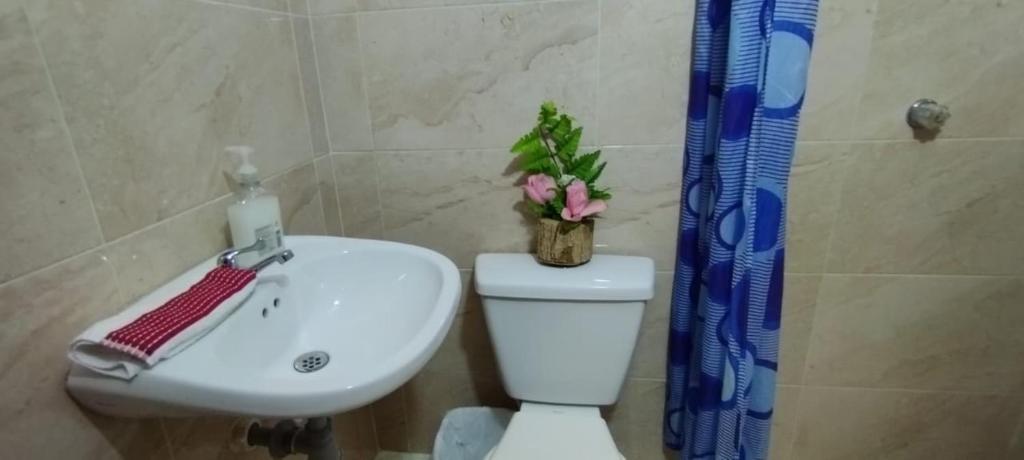 Yola´s House photo 4