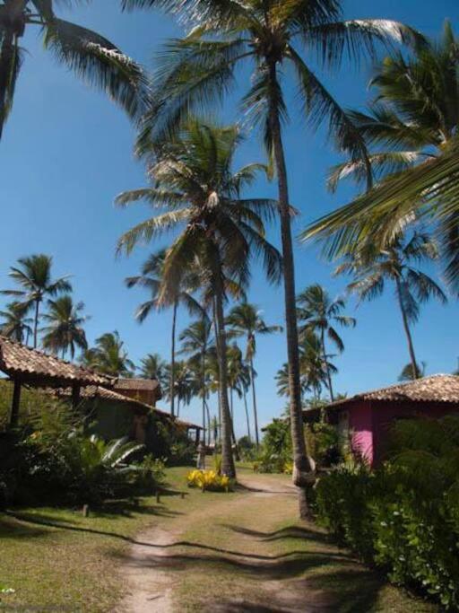 Pedaço do Paraíso - Serra Grande/BA photo 2