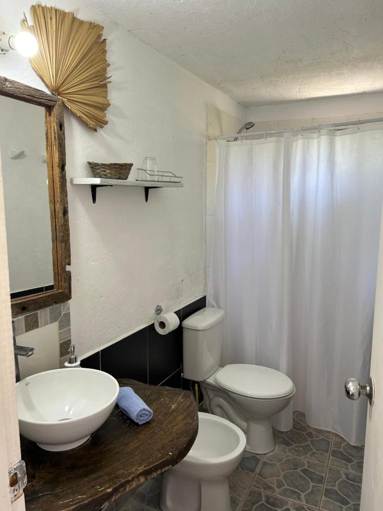 Lunas del Bosque Cabaña y apartamento en suite photo 1