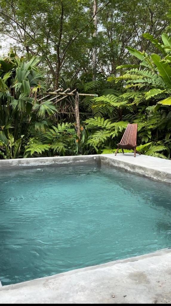 kaabna spa photo 2