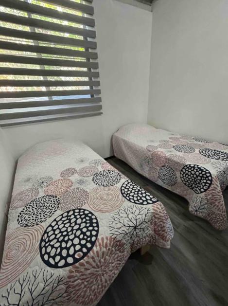 Departamento Amueblado con Alberca Pedregal C photo 4