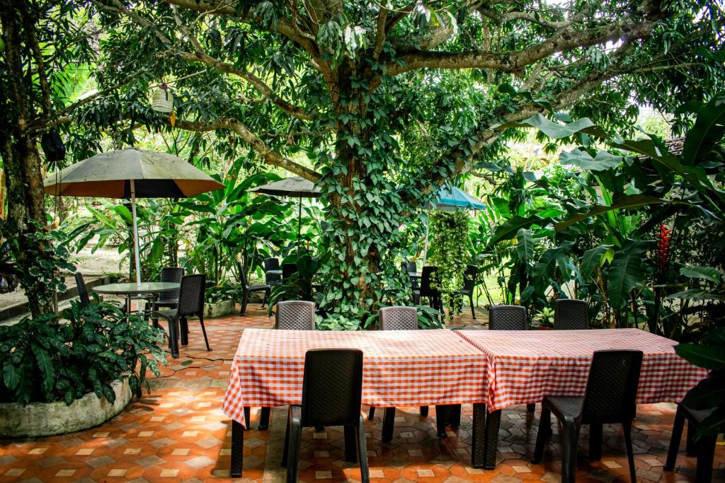 Hostal Chez Holman photo 3