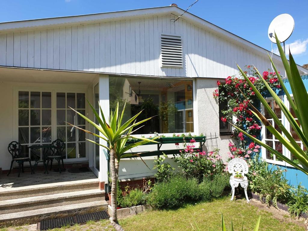 Ferienhaus am See photo 1