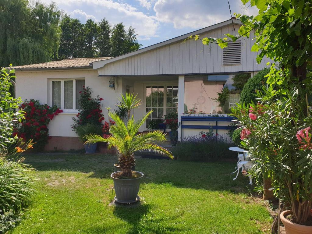Ferienhaus am See photo 4