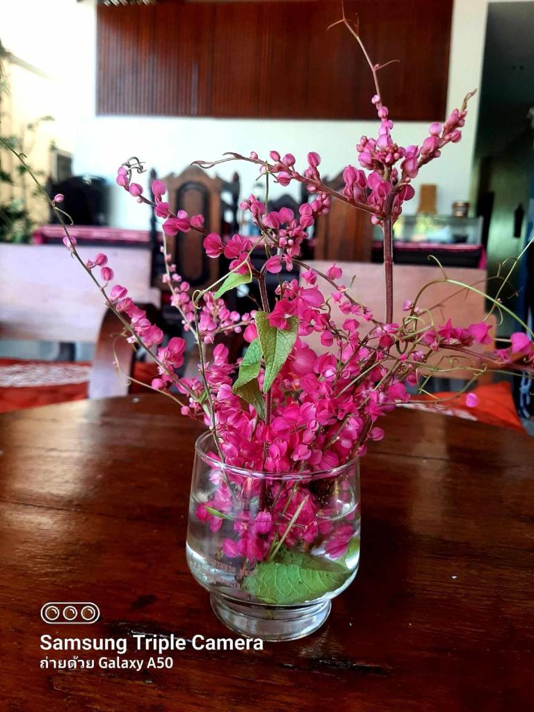 DE ROSE Hotel Chiang Mai photo 3