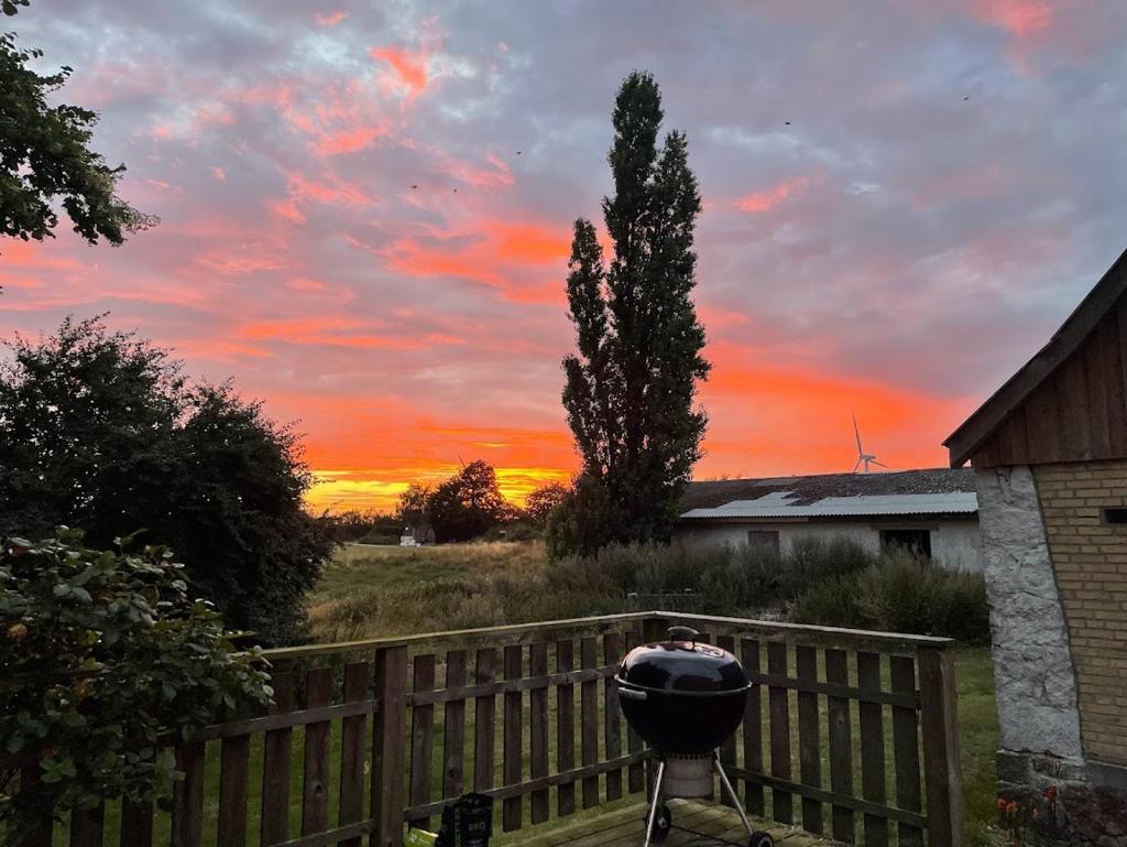 Havlykkegaard - en unik gammel dame ved Østersøen photo 3