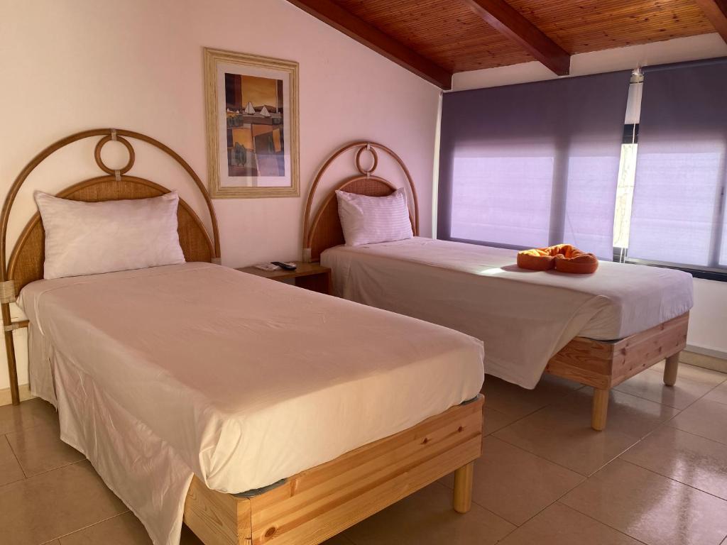 Aparthotel Praia Baixo photo 3