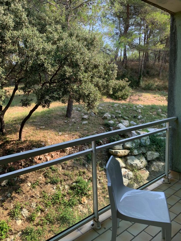 Charmant studio au calme avec vue sur pinède Animaux de compagnie acceptés photo 1