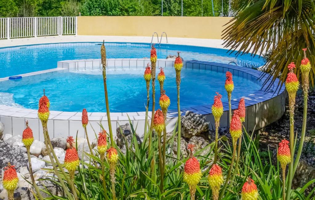 Lovely Home In Saint-savinien With Outdoor Swimming Pool photo 3