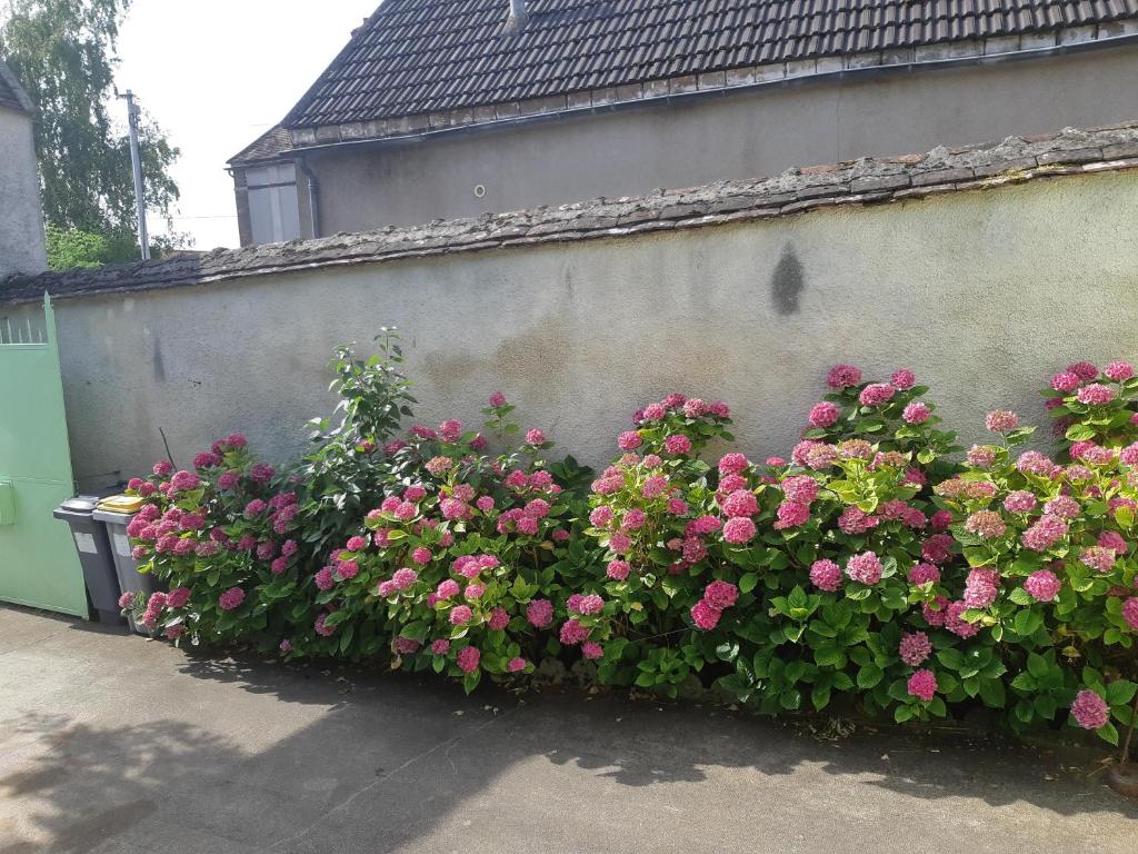 La MAISON VERTE photo 2