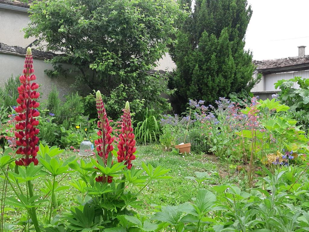 La MAISON VERTE photo 4