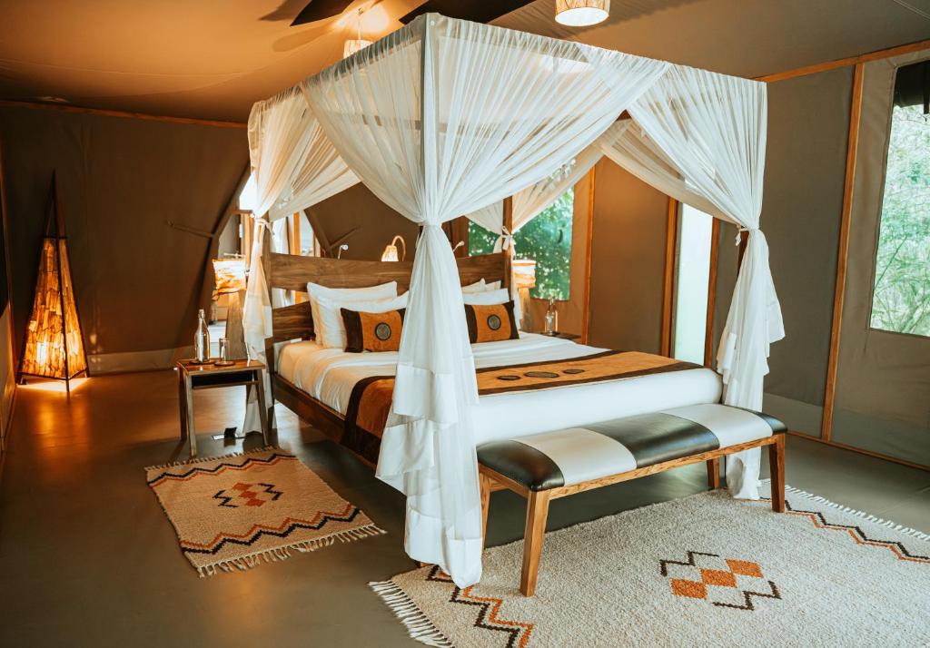 Soroi Luxury Migration Camp photo 1