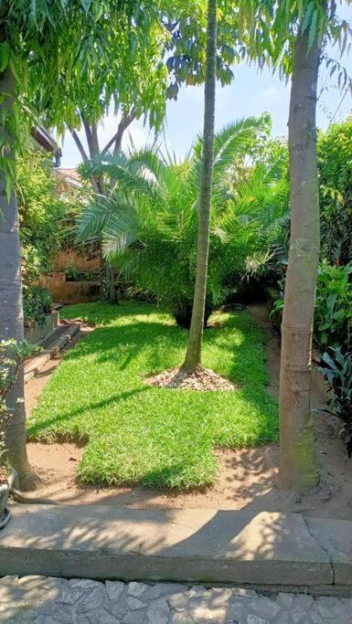 COLIBRI VILLA 3 ROOMS photo 3