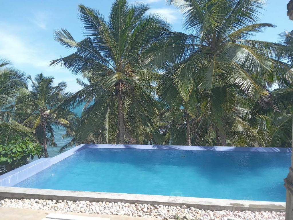 Beach front pool resort photo 4