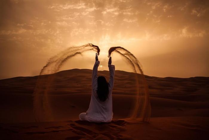 Camel Shadow Camp