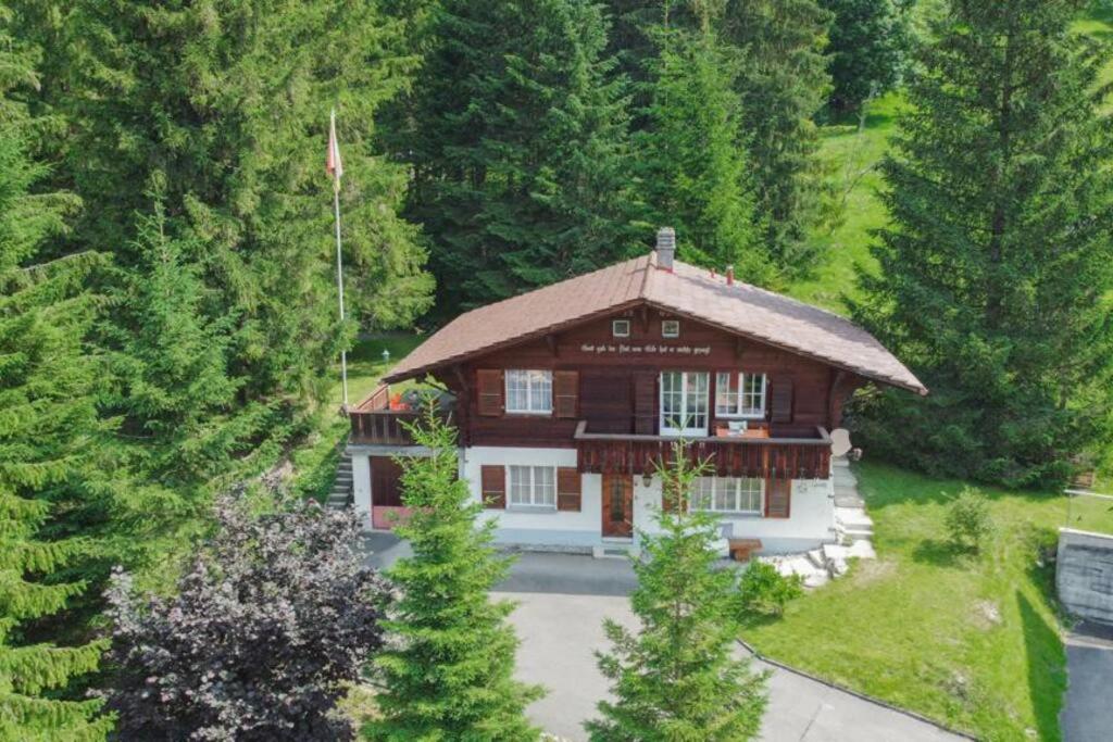 Bijou Spatz TWO near Oeschinen Lake photo 1