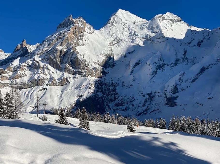 Bijou Spatz TWO near Oeschinen Lake photo 4