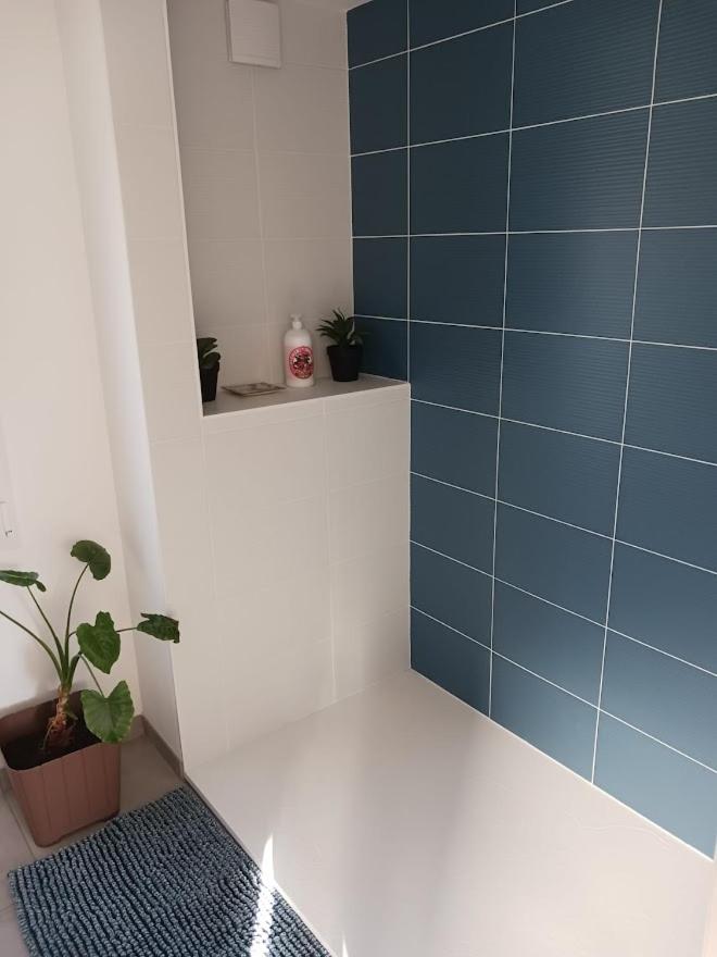 Studio neuf de plain-pied photo 1