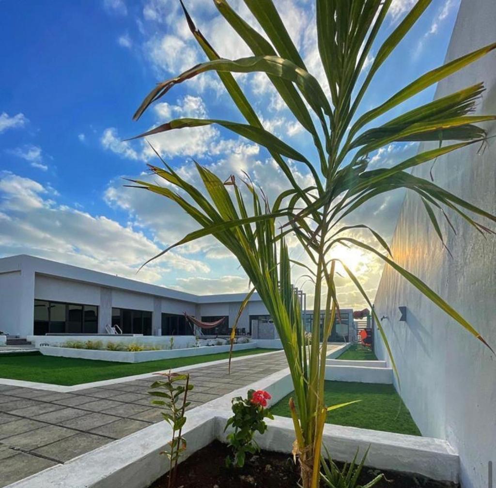 Al Saleh Chalet