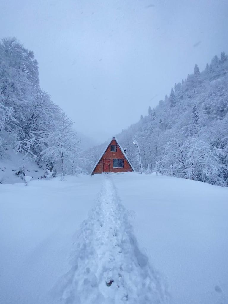 Long River Mountain House - Bungalow