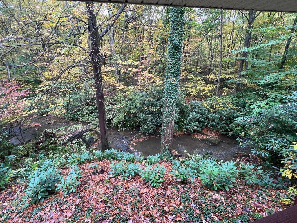 Bern's Summit Solitude: Stream-Front Serenity photo 1