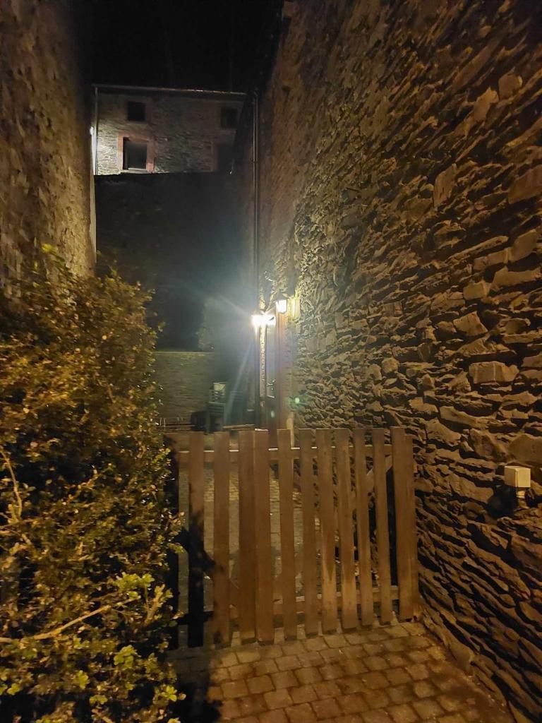 Le Vieux La Roche photo 1