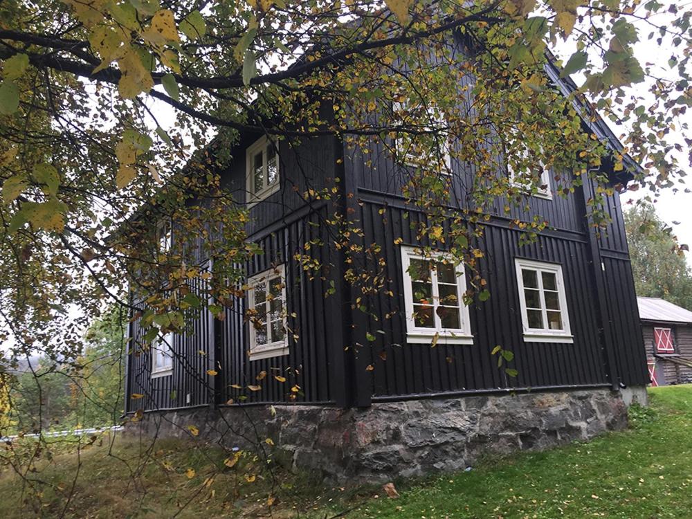 Heimdal husmannsplass på Ål i Hallingdal